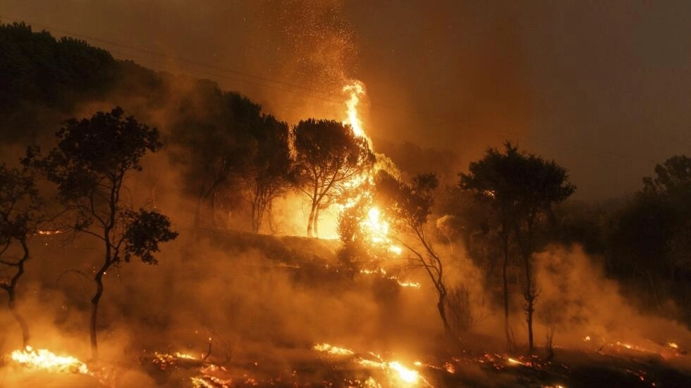Grecia: incendios en la región de Evros se cobran la vida de al menos 18 personas