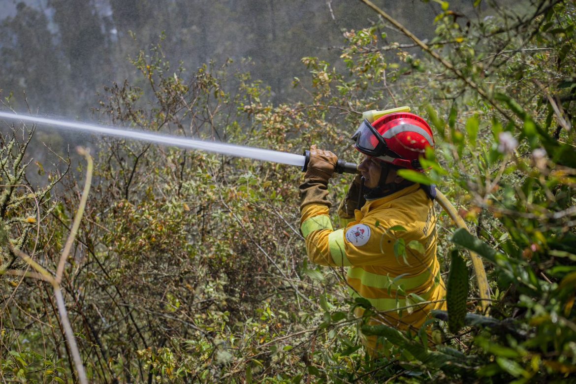 Incendio forestal en Guzo fue controlado
