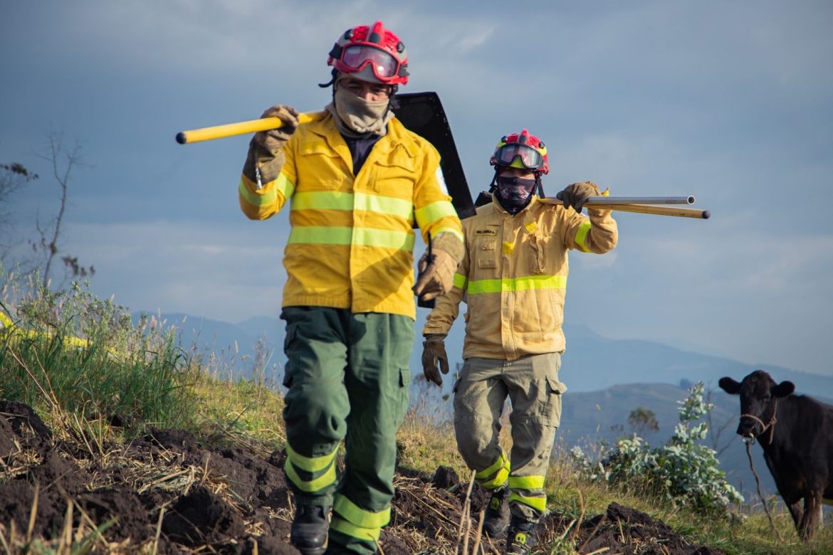 Bomberos reportan 44 Emergencias