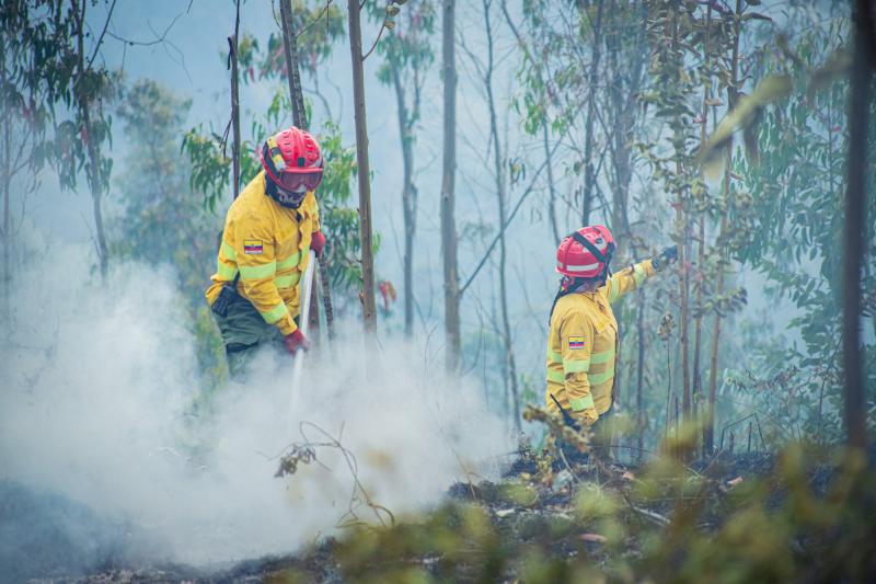 Incendio forestal en Tunshi controlado