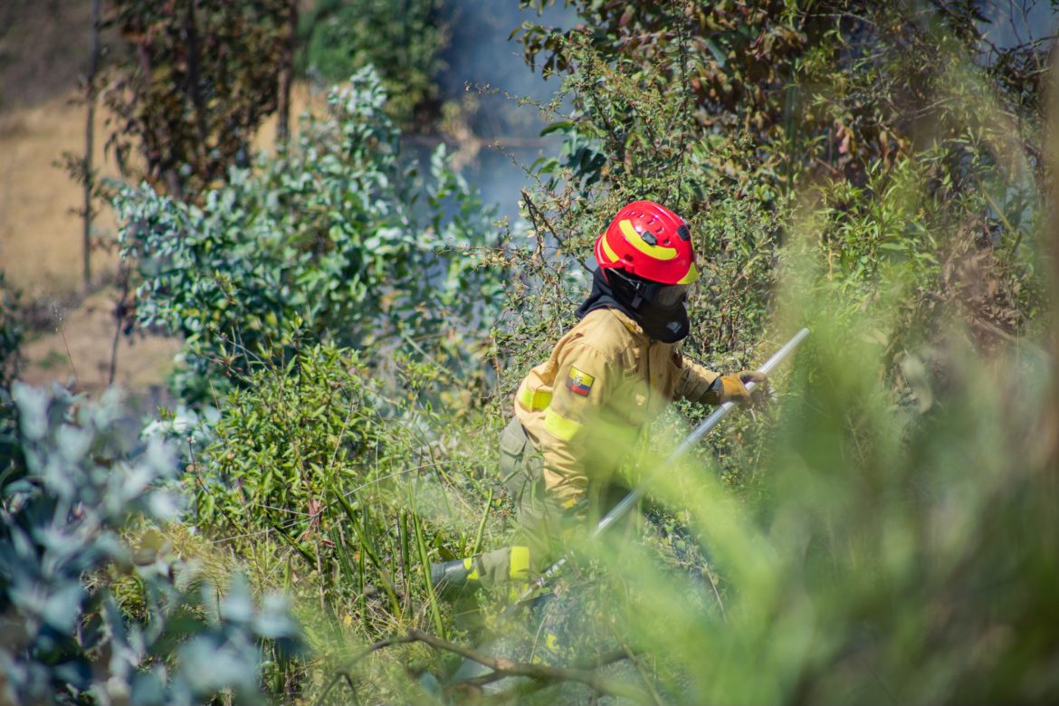 Incendio forestal en Tulabug consume dos hectáreas y moviliza a bomberos de Riobamba