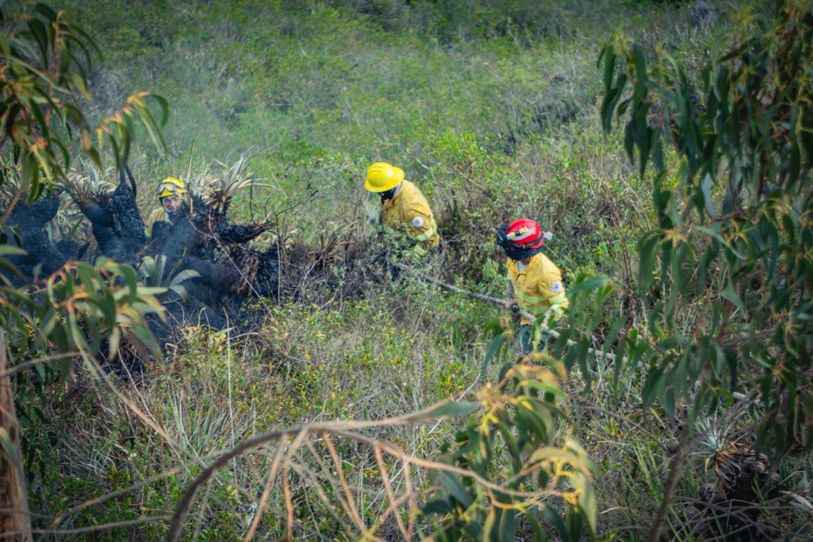 Cuerpo de Bomberos controla incendio forestal en San Clemente