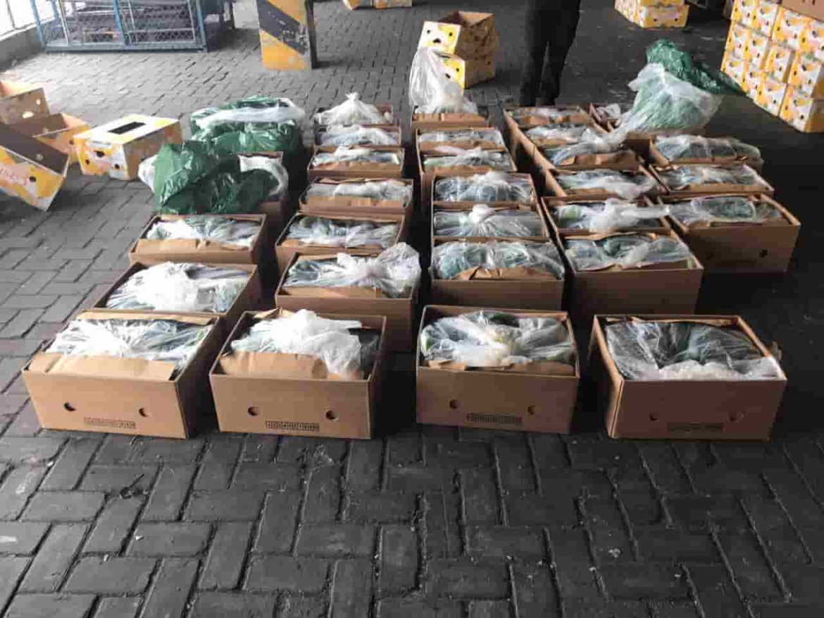 Sector bananero plantea reformas clave para combatir al crimen organizado sin afectar las exportaciones